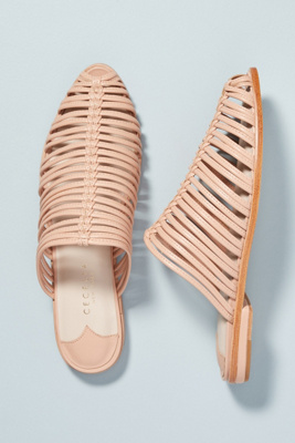 cecelia new york shoes
