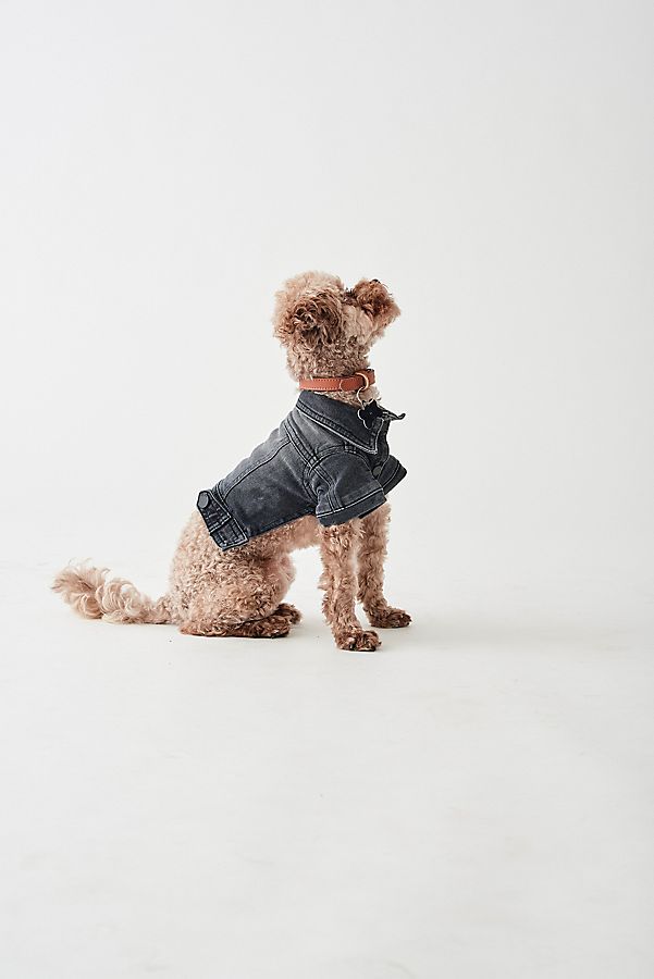 Slide View: 1: DL1961 Fido Canine Trucker Jacket