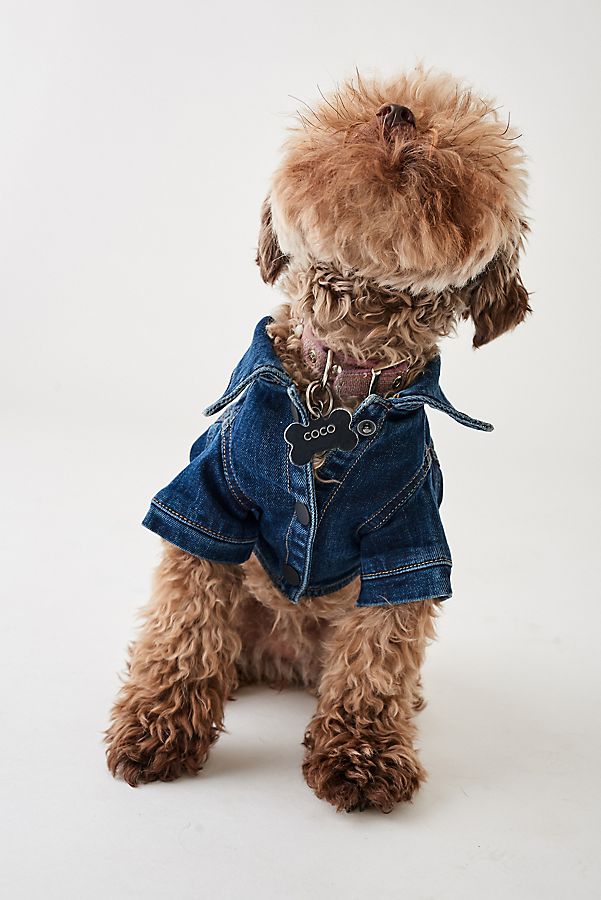 Slide View: 1: DL1961 Fido Canine Trucker Jacket