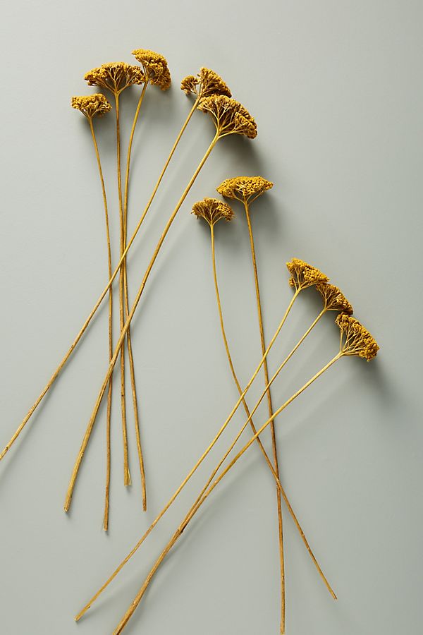 Slide View: 1: Dried Yarrow Bouquet