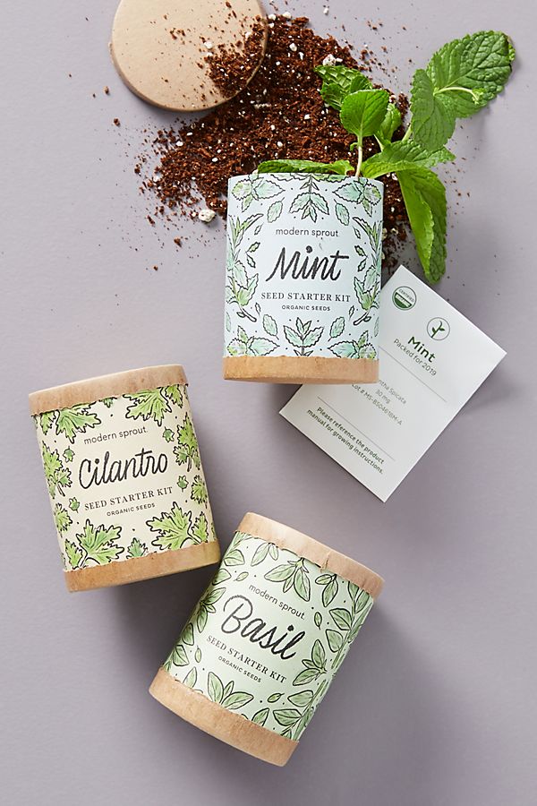Slide View: 1: Modern Sprout Seed Starter Kit