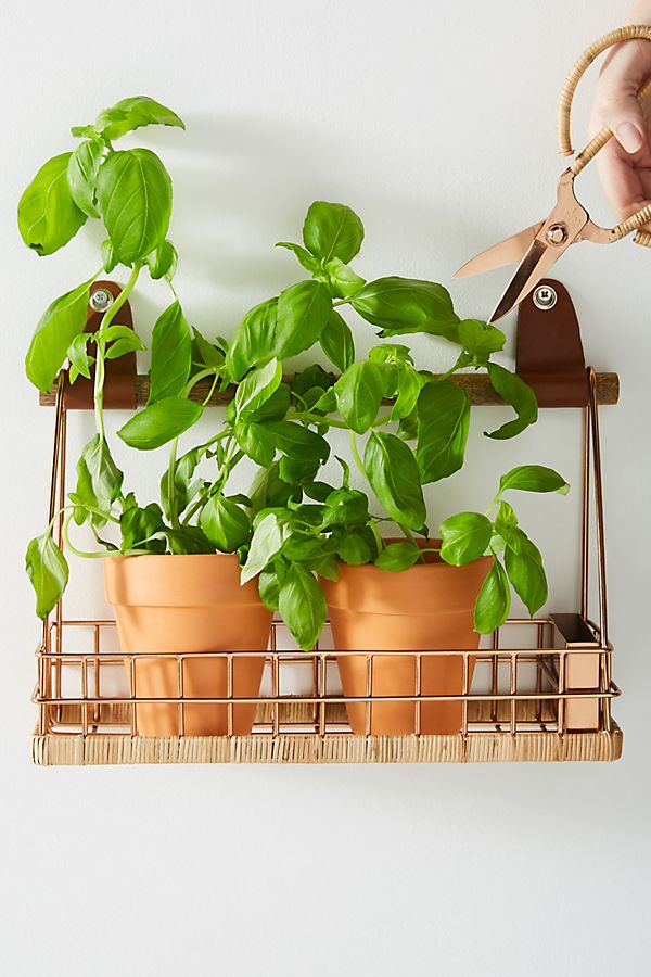 Slide View: 1: Chloe Herb Basket + Scissors