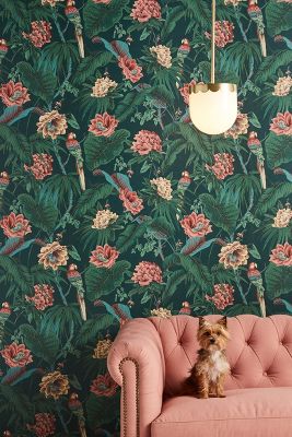 Shop House Of Hackney Wallpaper On Dailymail
