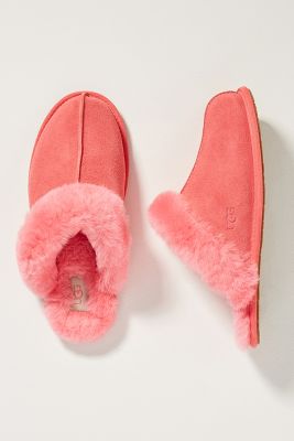 Ugg slippers beverly pink hot sale