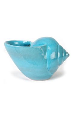 Conch Shell Pot   Anthropologie