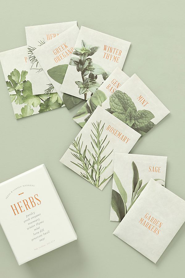 Slide View: 1: Herb Garden Kit